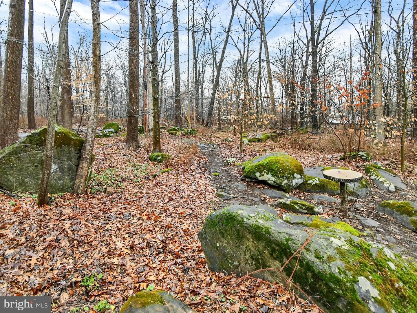 740 Lonely Cottage Road photo 24