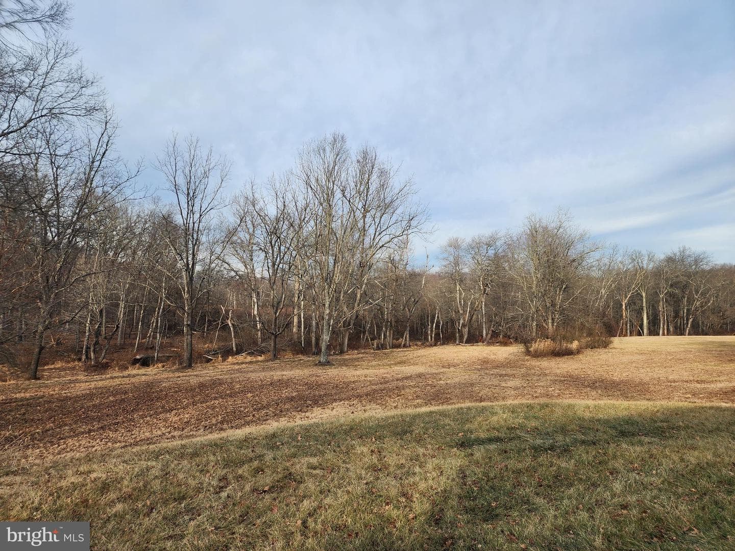 130 Pine Lane photo 28