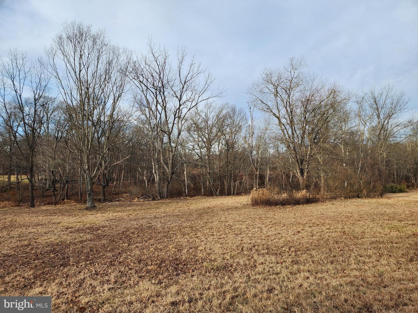 130 Pine Lane photo 31