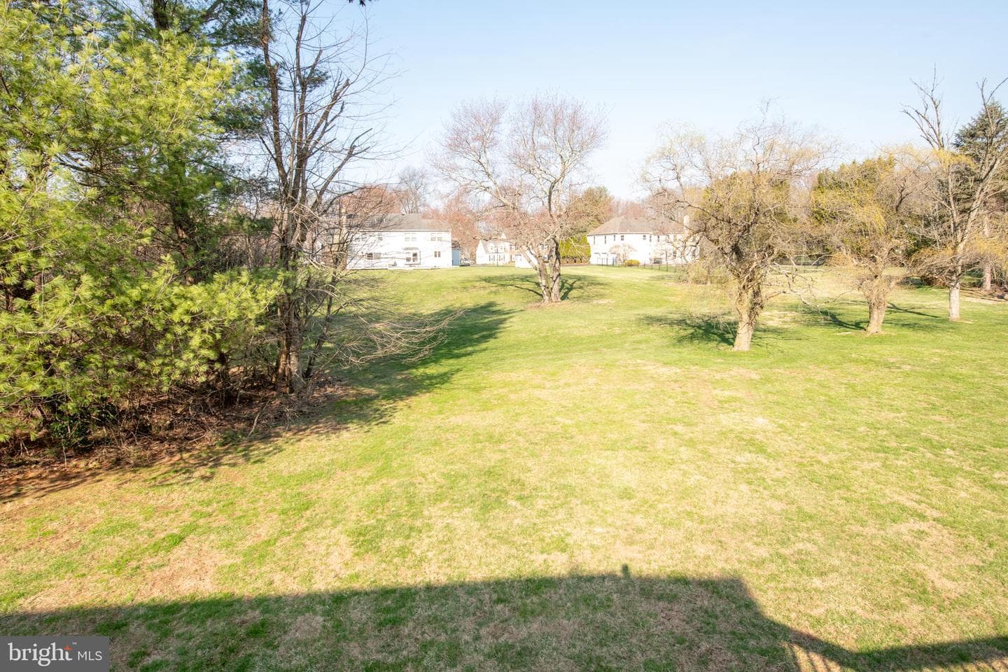 19 Zelkova Drive photo 53