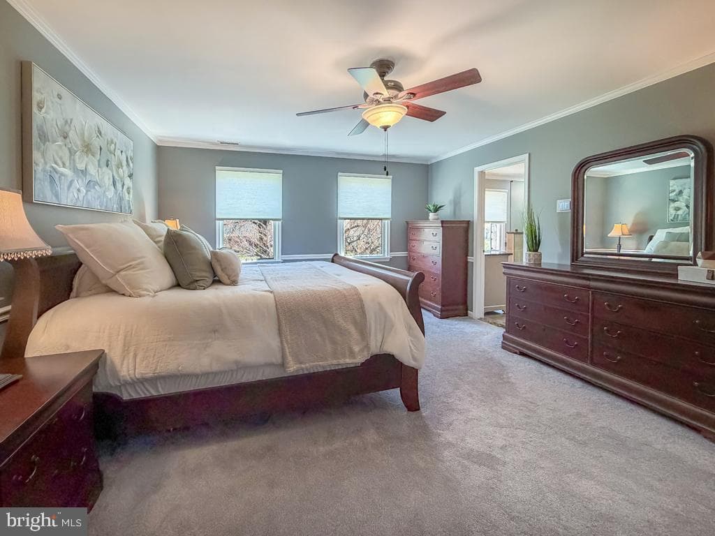 35 Matthew Circle photo 23