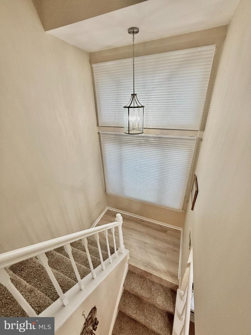 102 Windham Court photo 16
