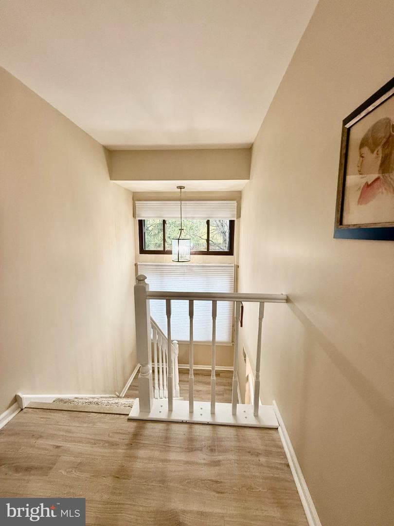 102 Windham Court photo 27