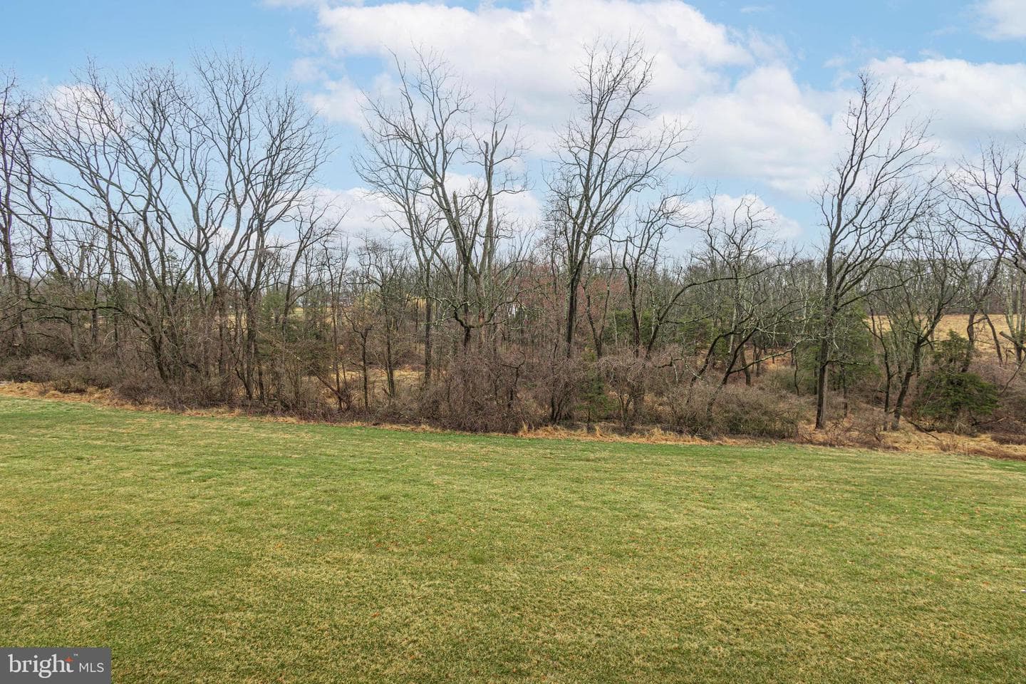 1114 Webb Drive photo 18