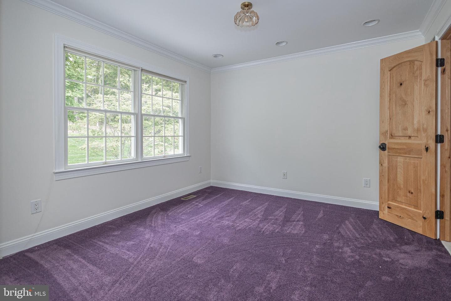 21 Bellinghamshire Place photo 62