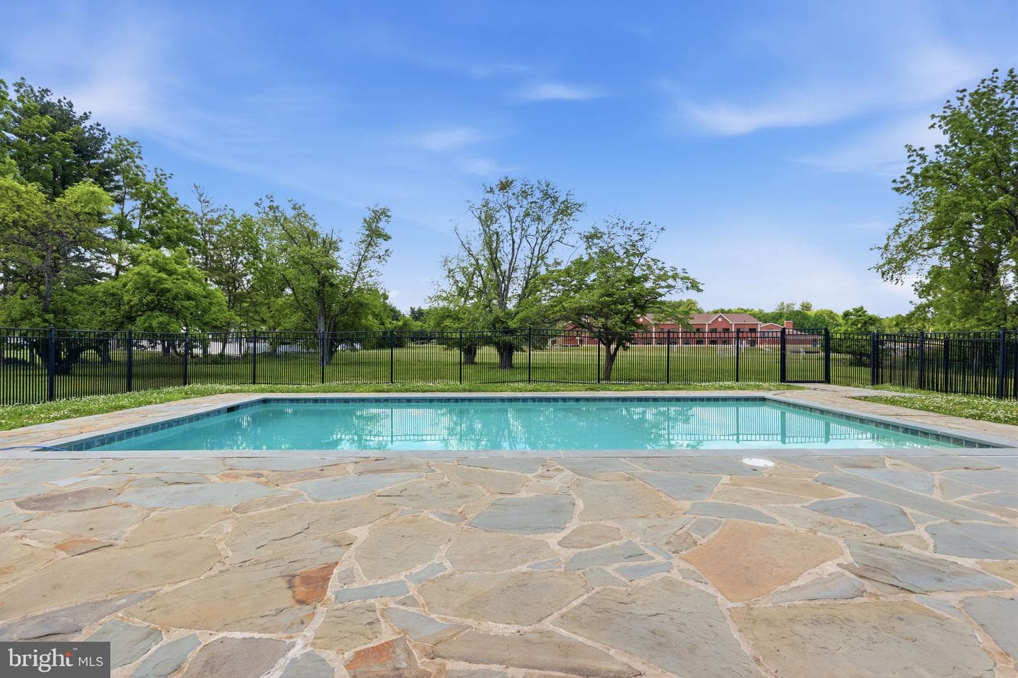 1682 Clydesdale Circle photo 69