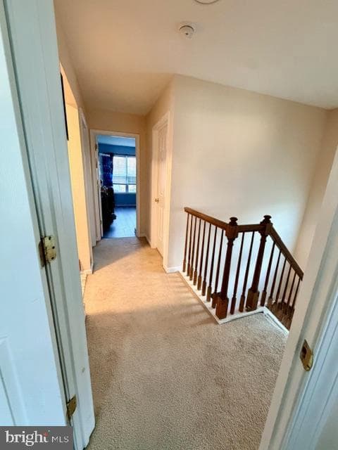 1155 School House Lane photo 22