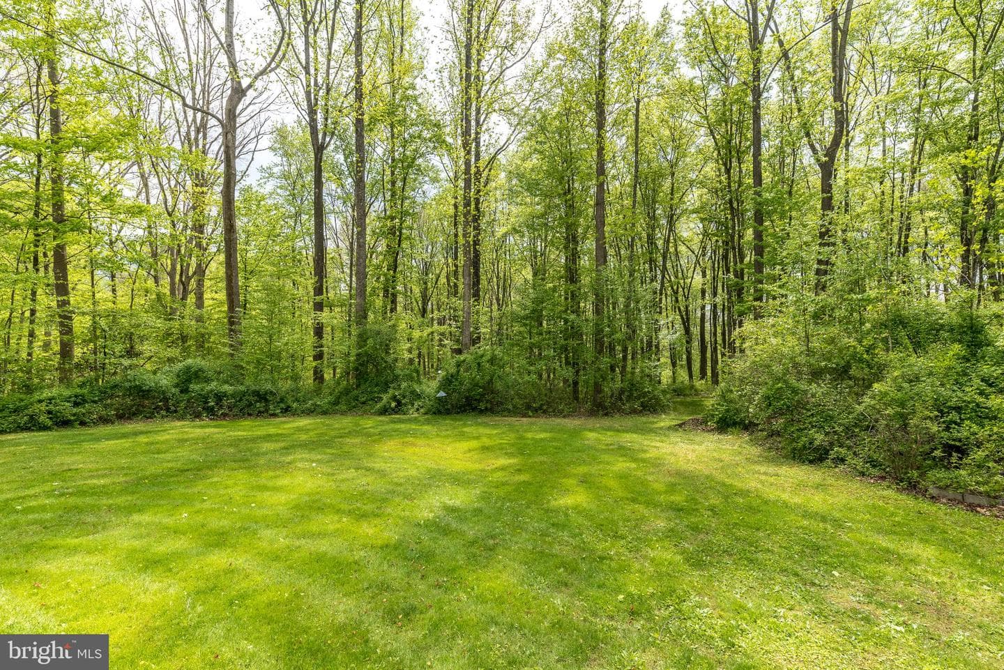 540 Black Walnut Drive photo 15