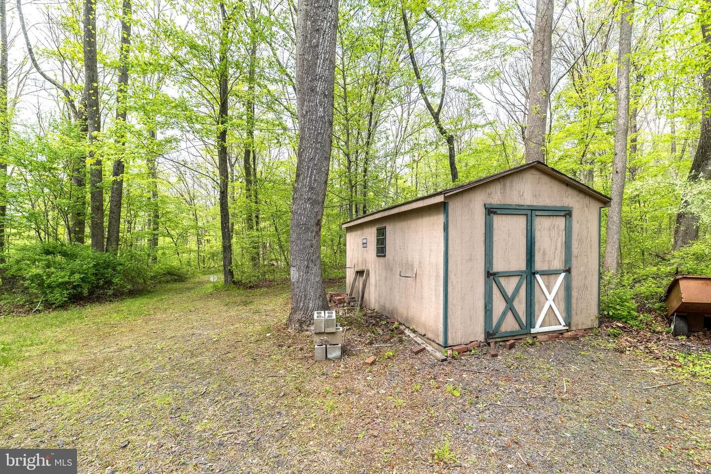540 Black Walnut Drive photo 18
