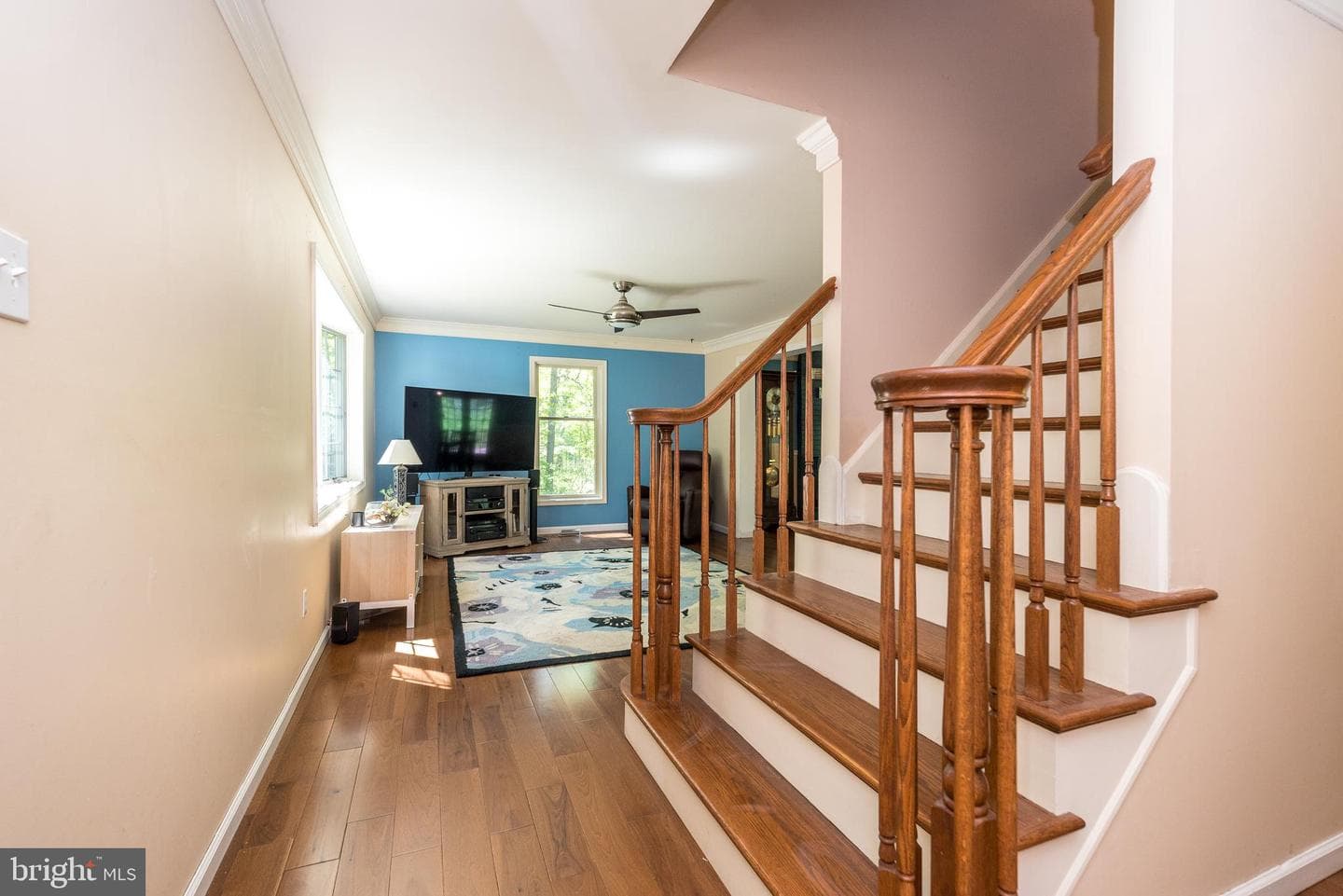 540 Black Walnut Drive photo 19