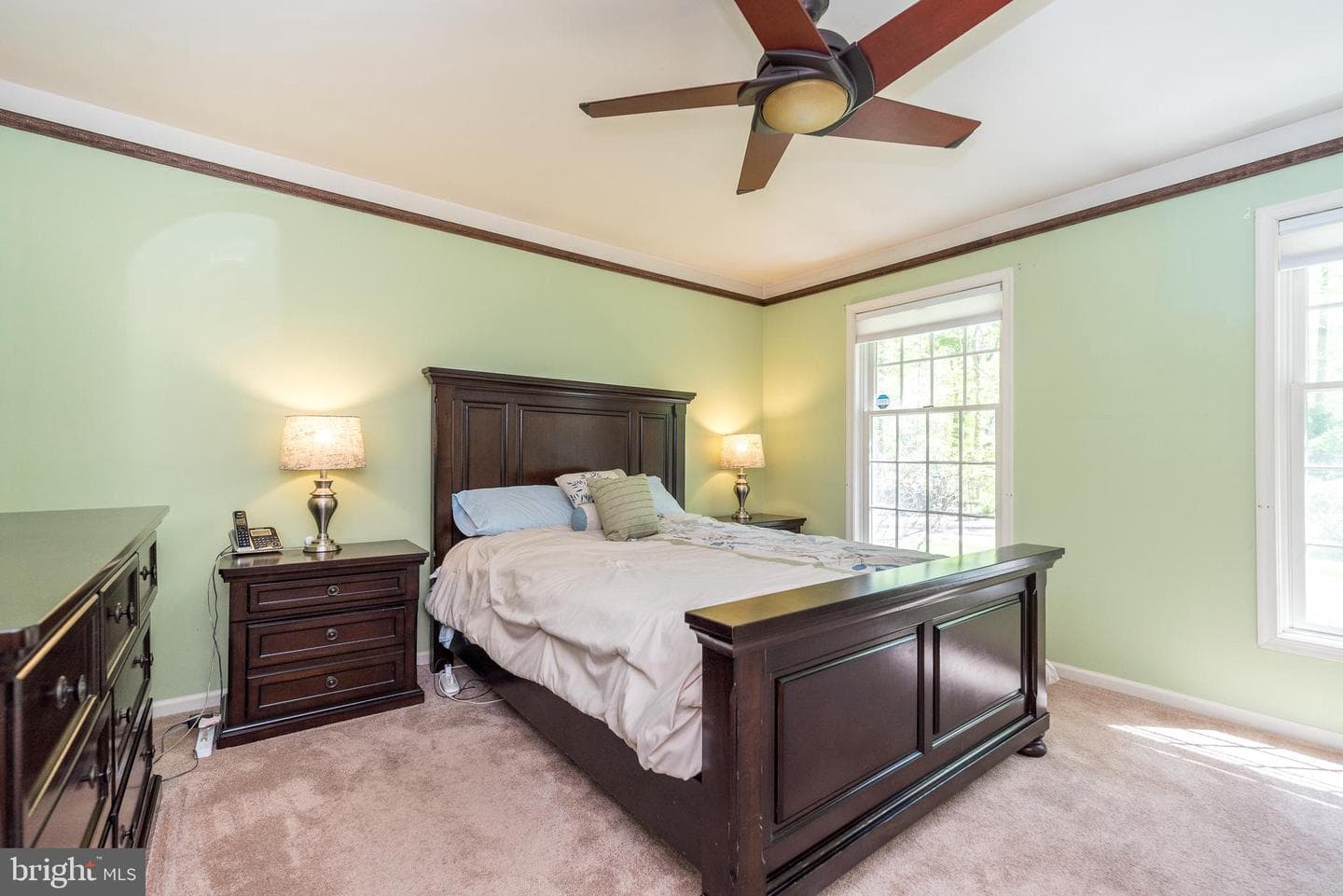 540 Black Walnut Drive photo 36