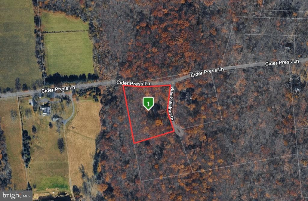 540 Black Walnut Drive photo 58