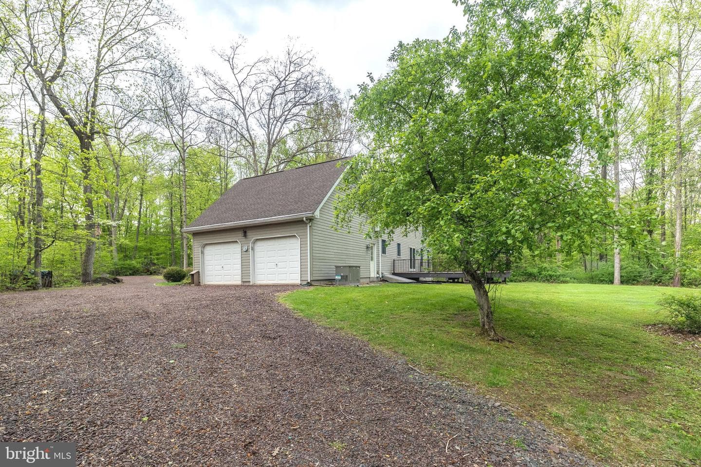 540 Black Walnut Drive photo 6