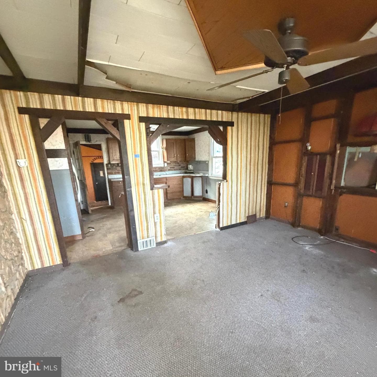 217 Apple Street photo 20
