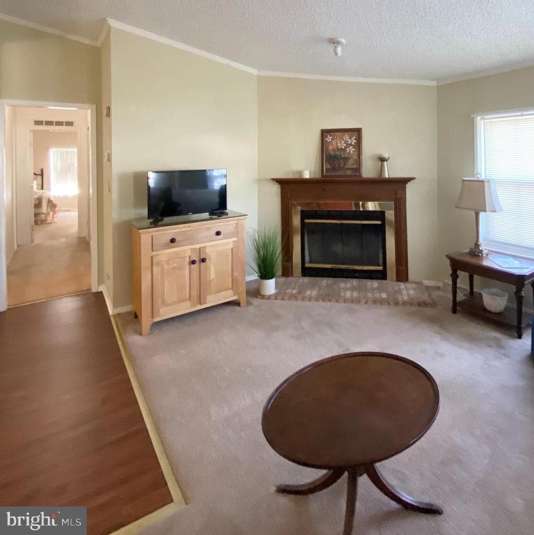 449 Grouse Court W photo 19