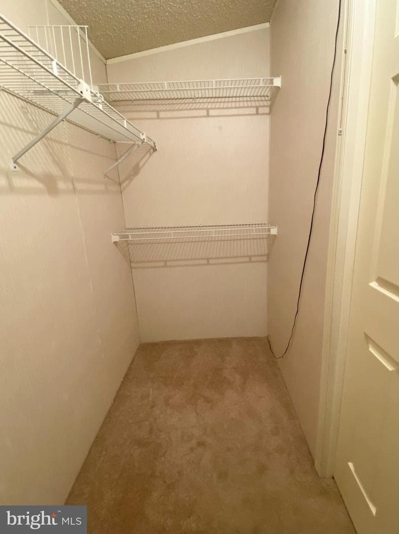 449 Grouse Court W photo 27
