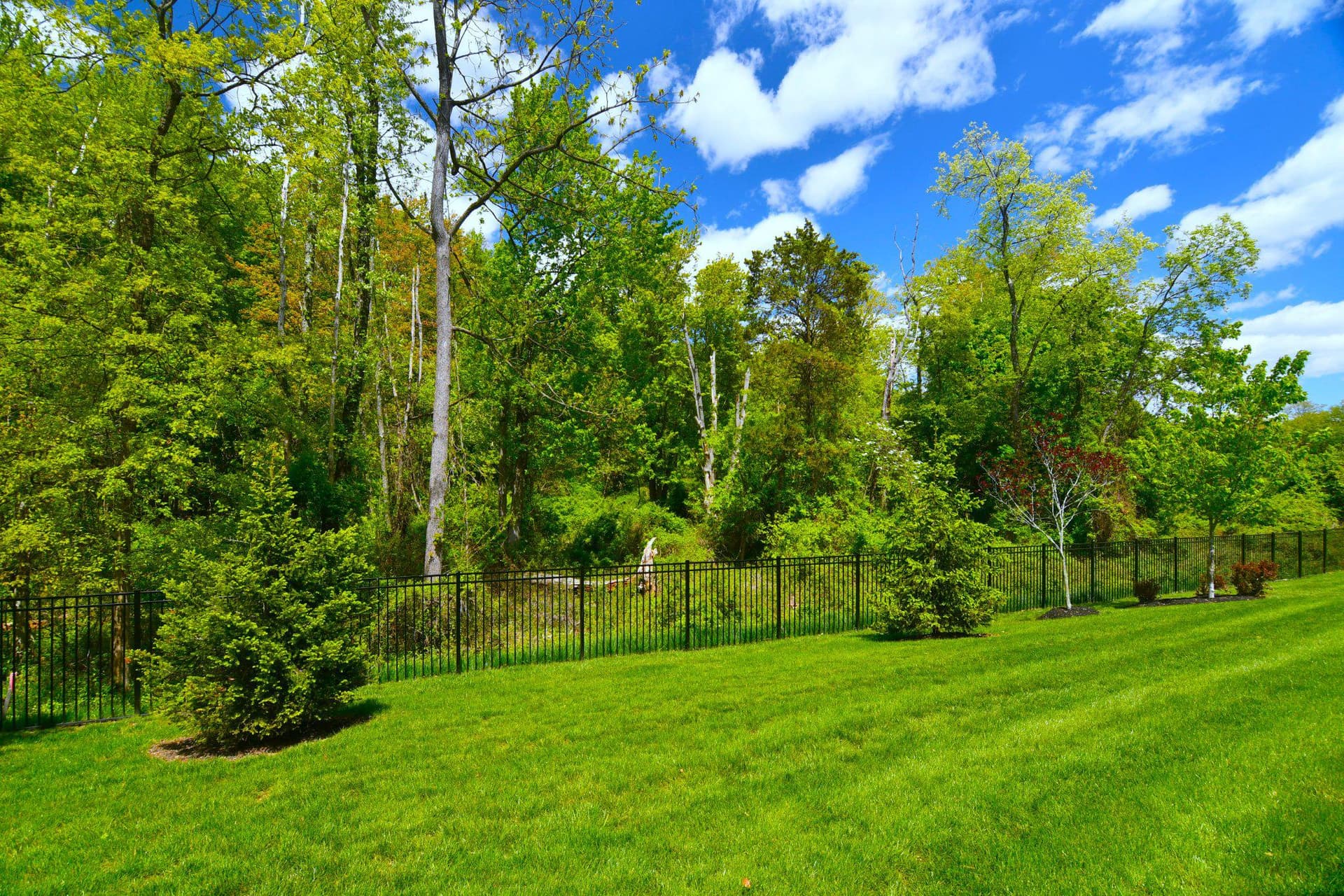 924 Holden Court photo 31