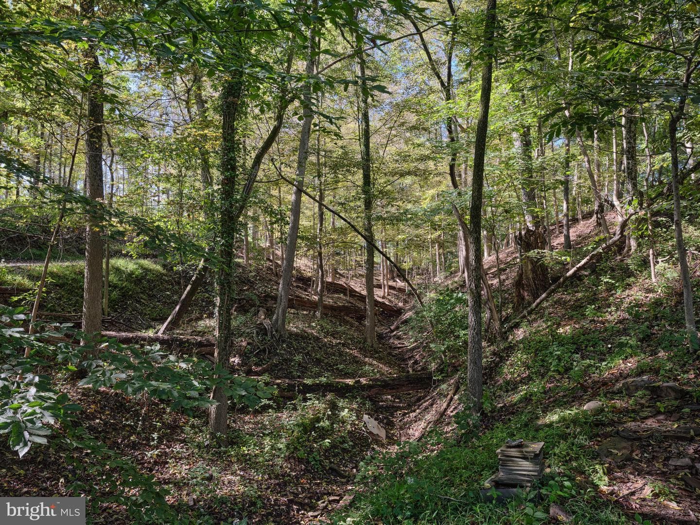 927 Taylorsville Road photo 27