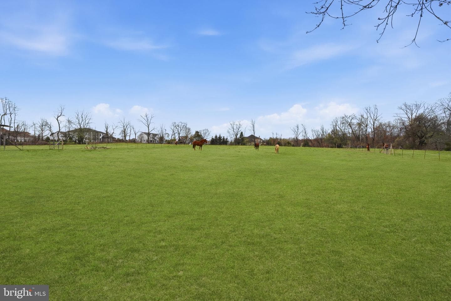 34 Aqueduct Road photo 18