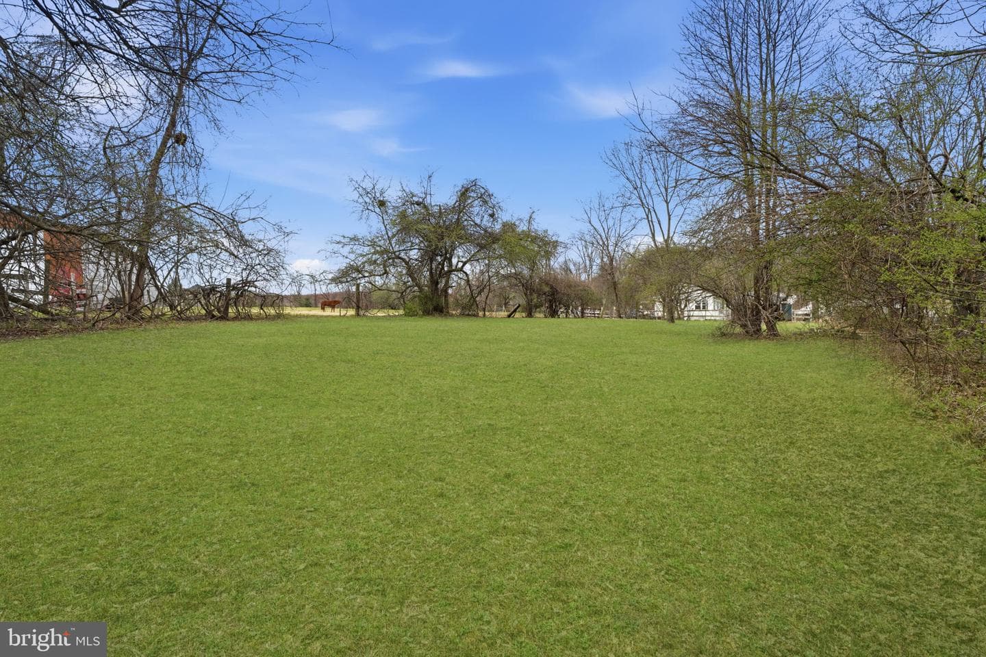 34 Aqueduct Road photo 31