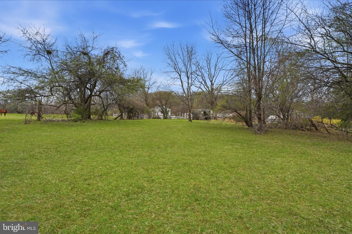 34 Aqueduct Road photo 34