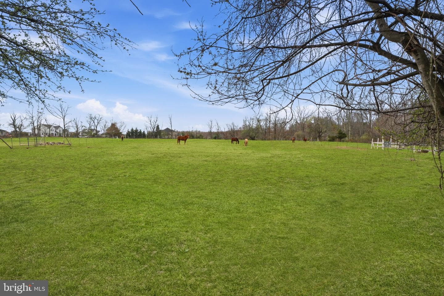 34 Aqueduct Road photo 35
