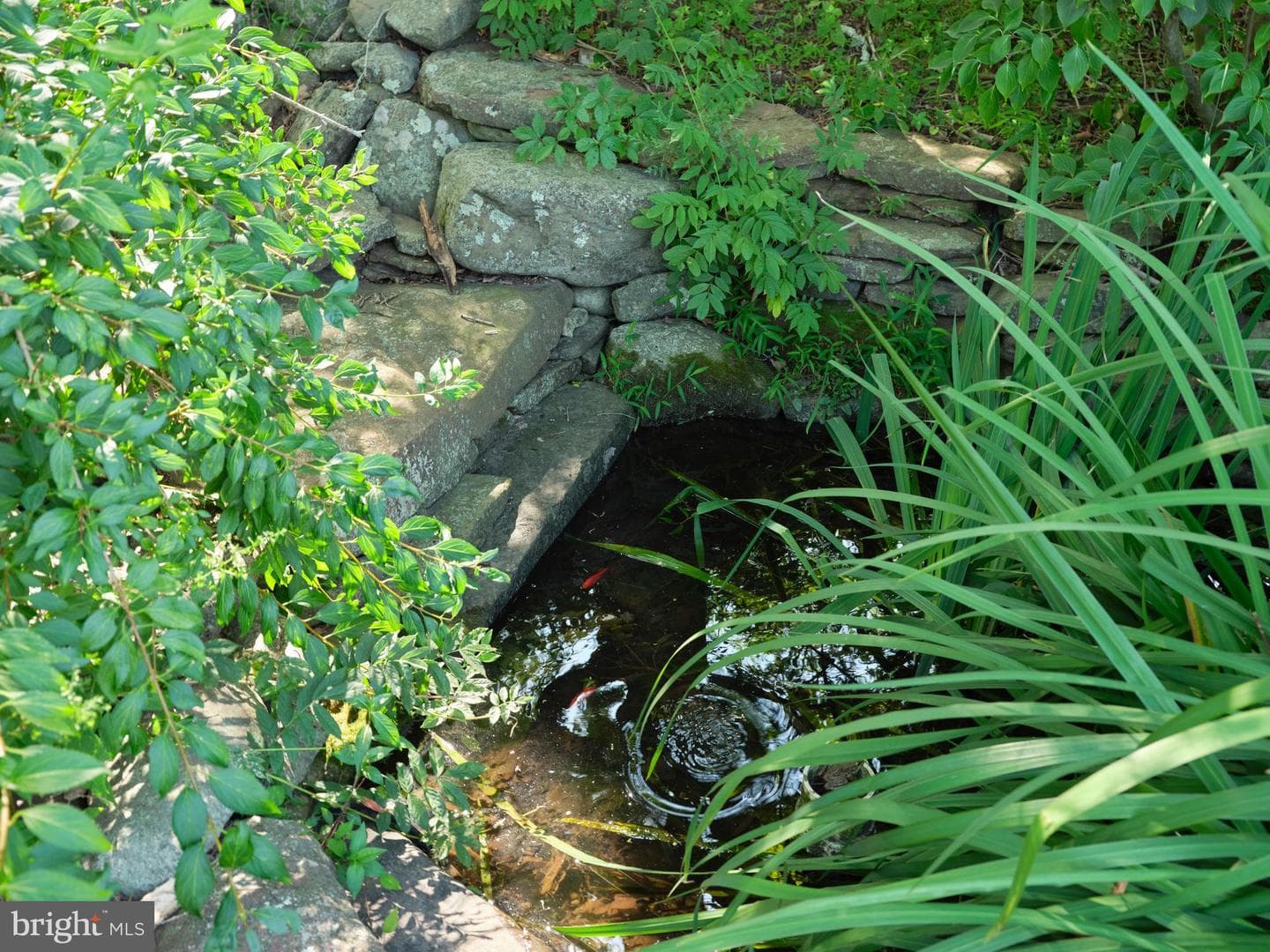 110 Clay Ridge Road photo 52