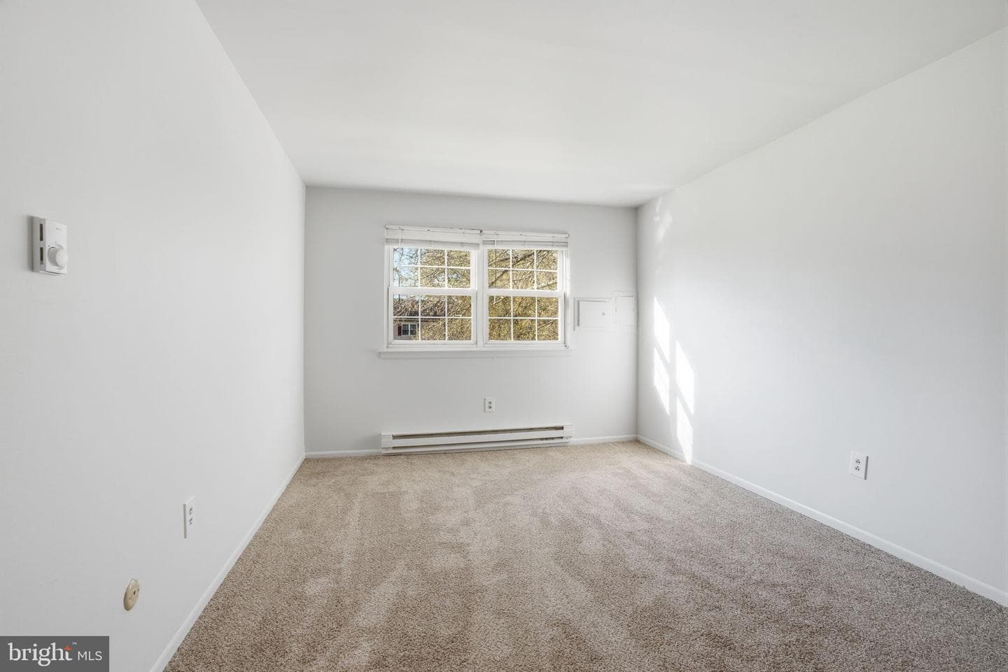 178 Elephant Road photo 12