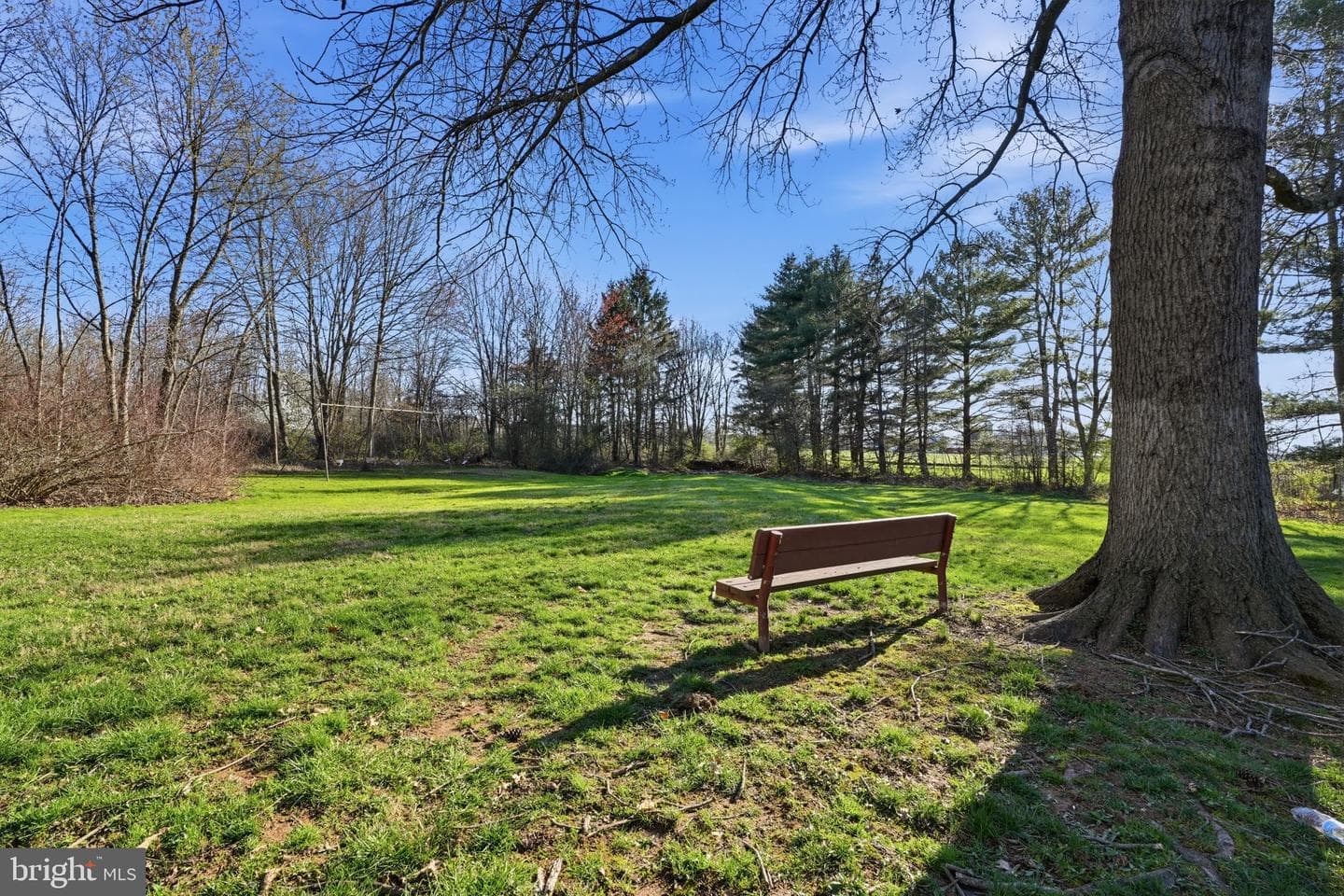 178 Elephant Road photo 15