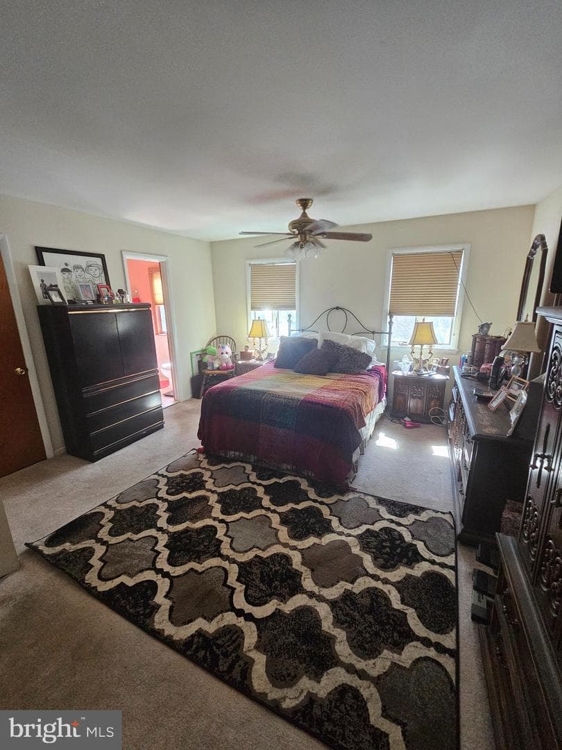 176 Kenton photo 8