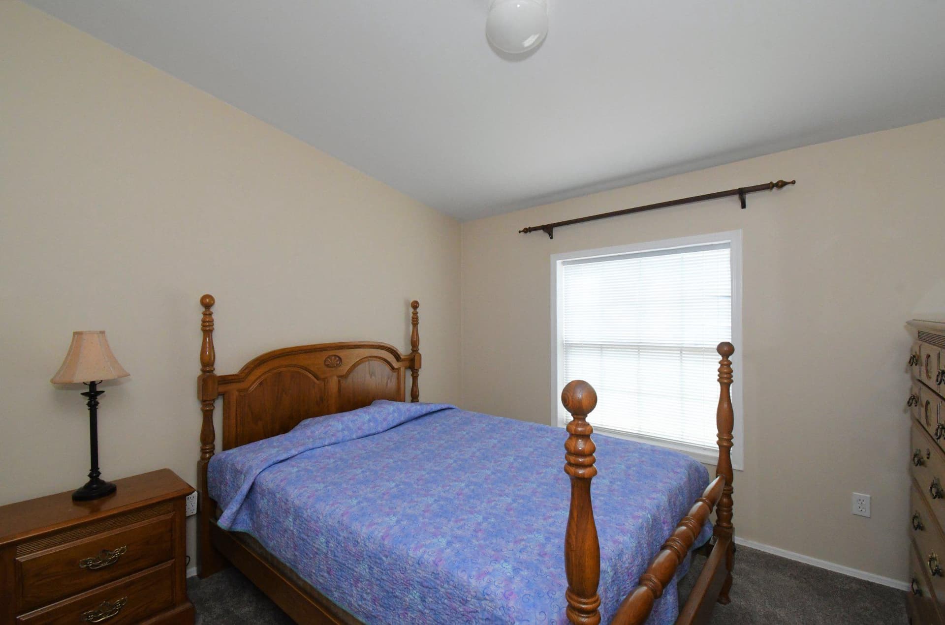 29 Williams Way photo 28