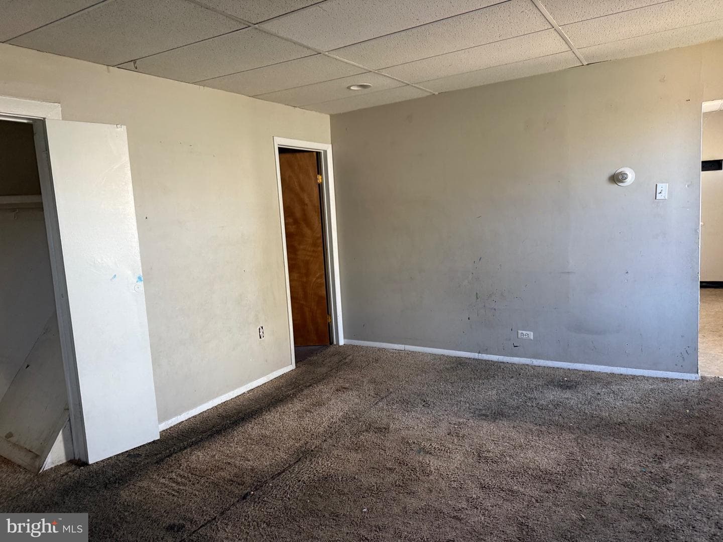 310 Wynnewood Avenue photo 18