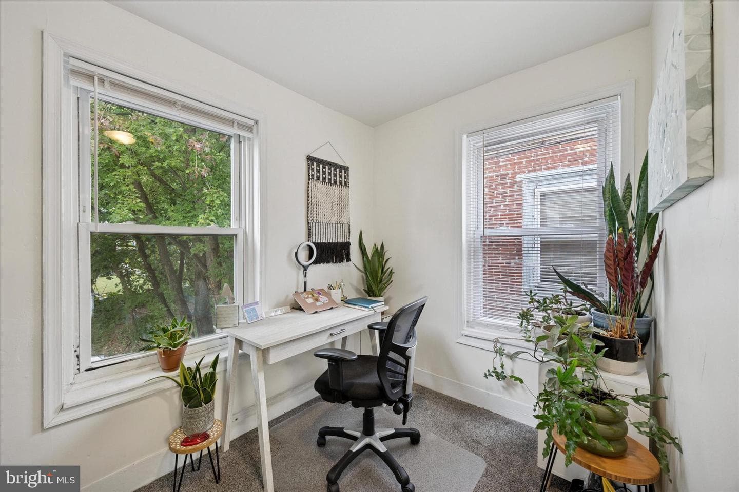 238 Cleveland Street photo 10