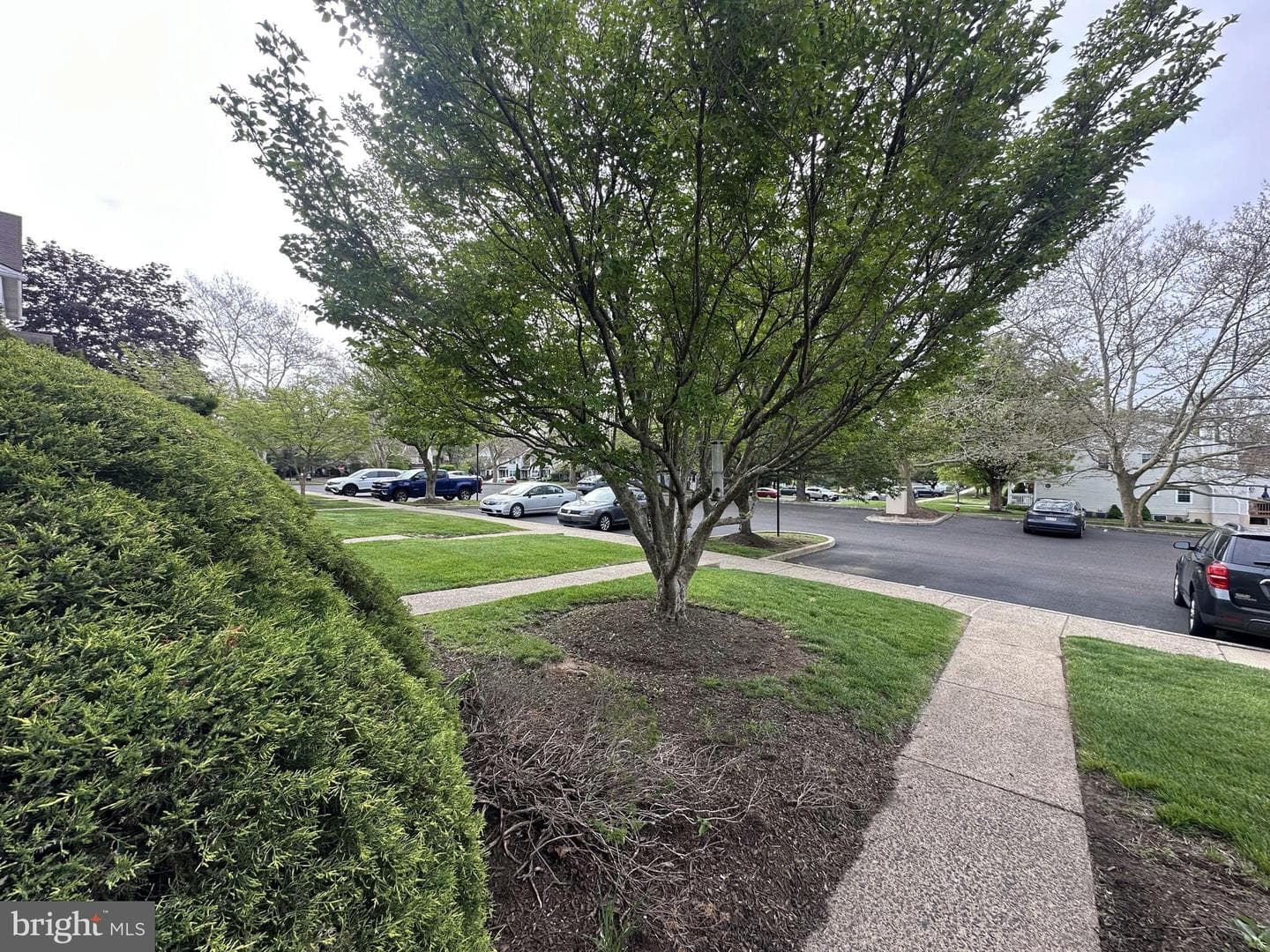 181 Leedom Way Way photo 17