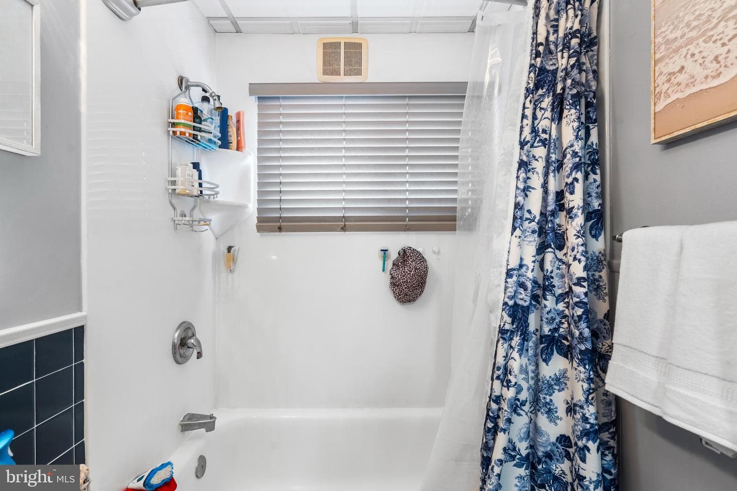 54 Quincy Drive photo 27