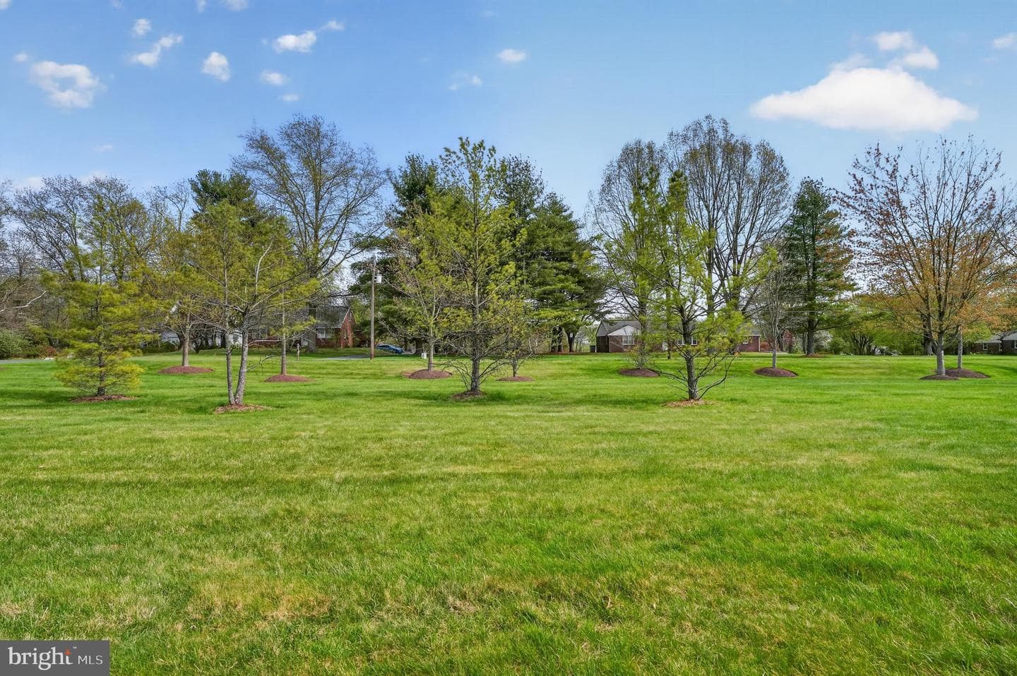 134 Devonshire Way photo 39