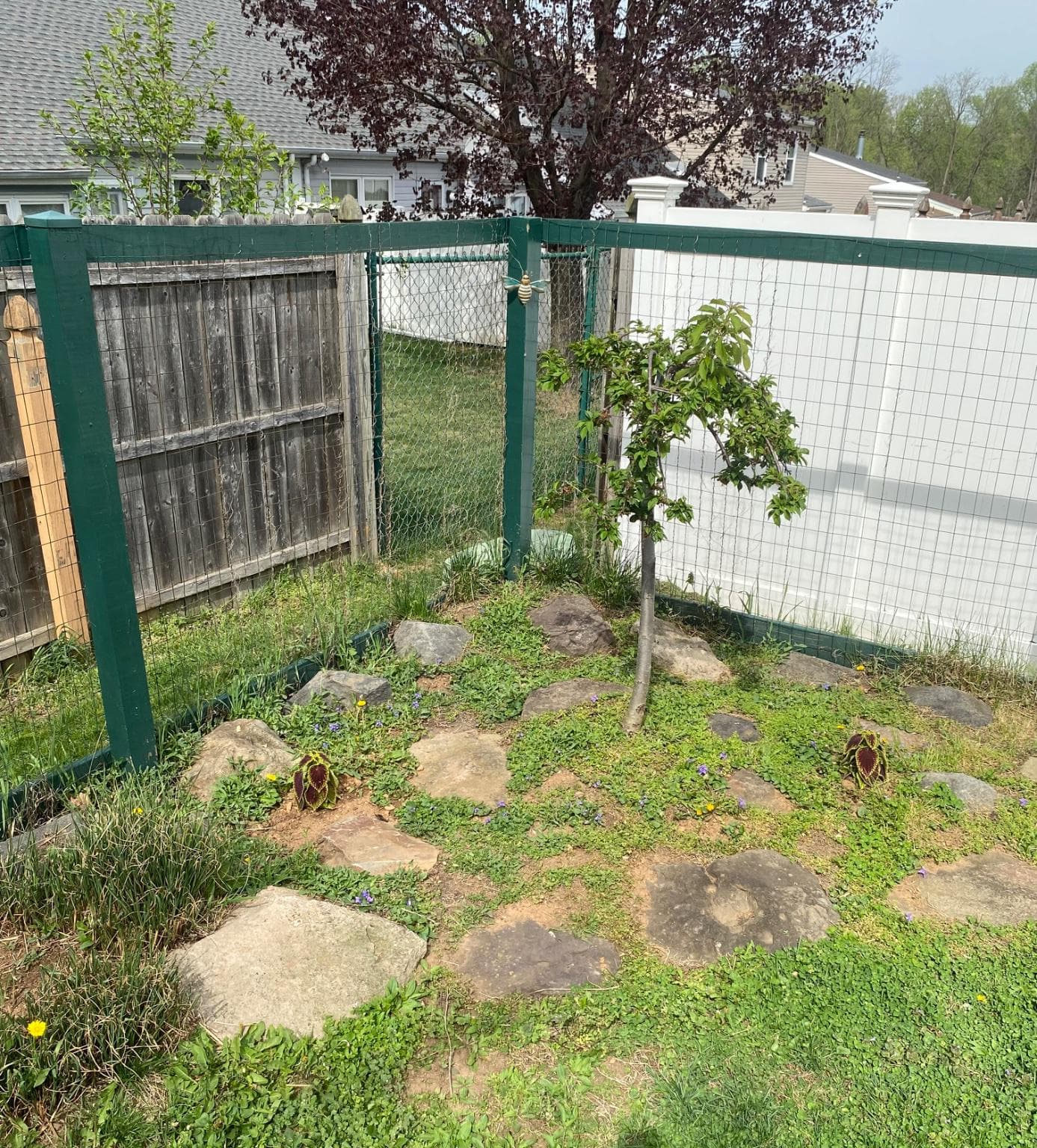 6670 Mayflower Drive photo 39