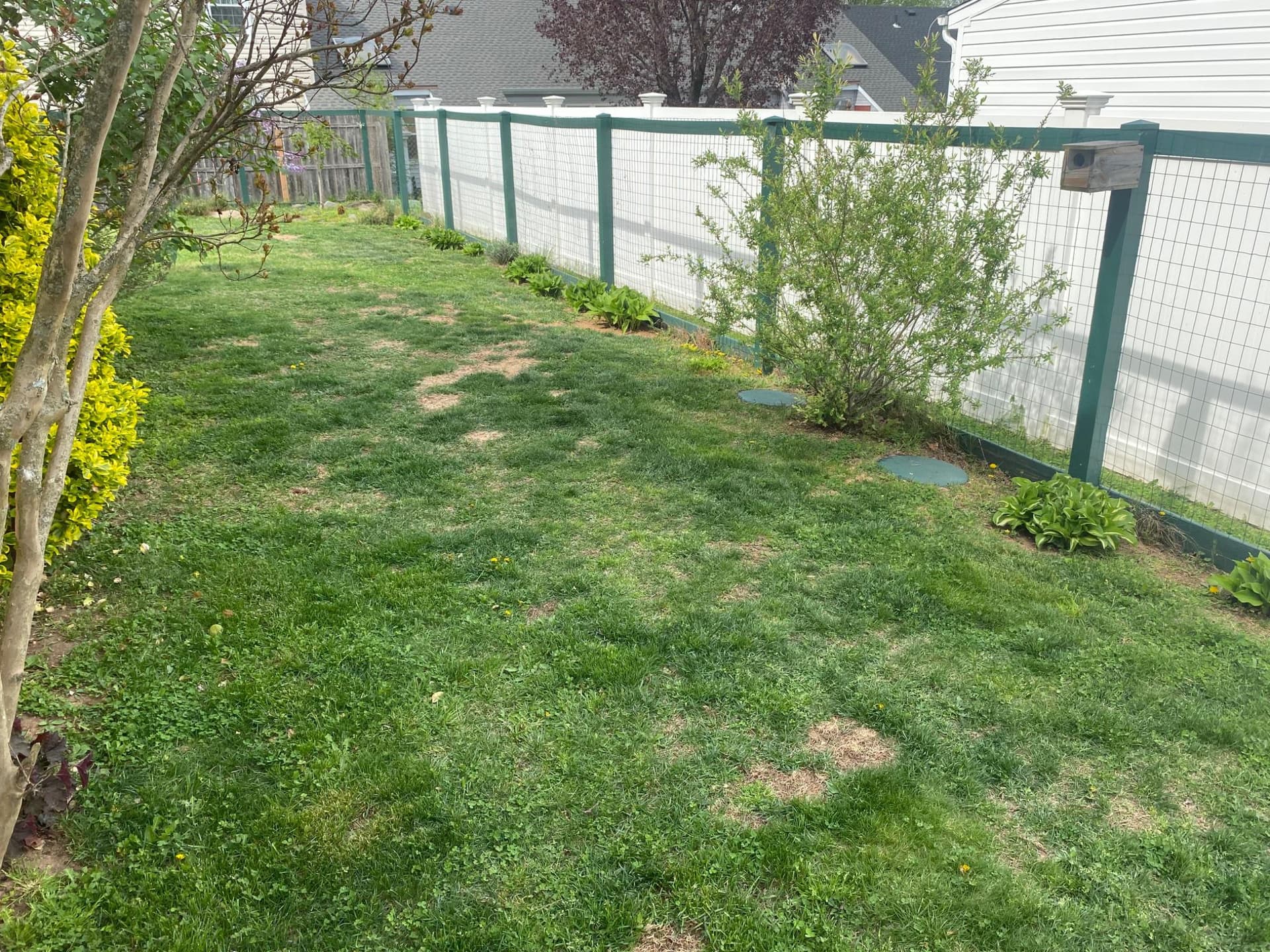 6670 Mayflower Drive photo 41