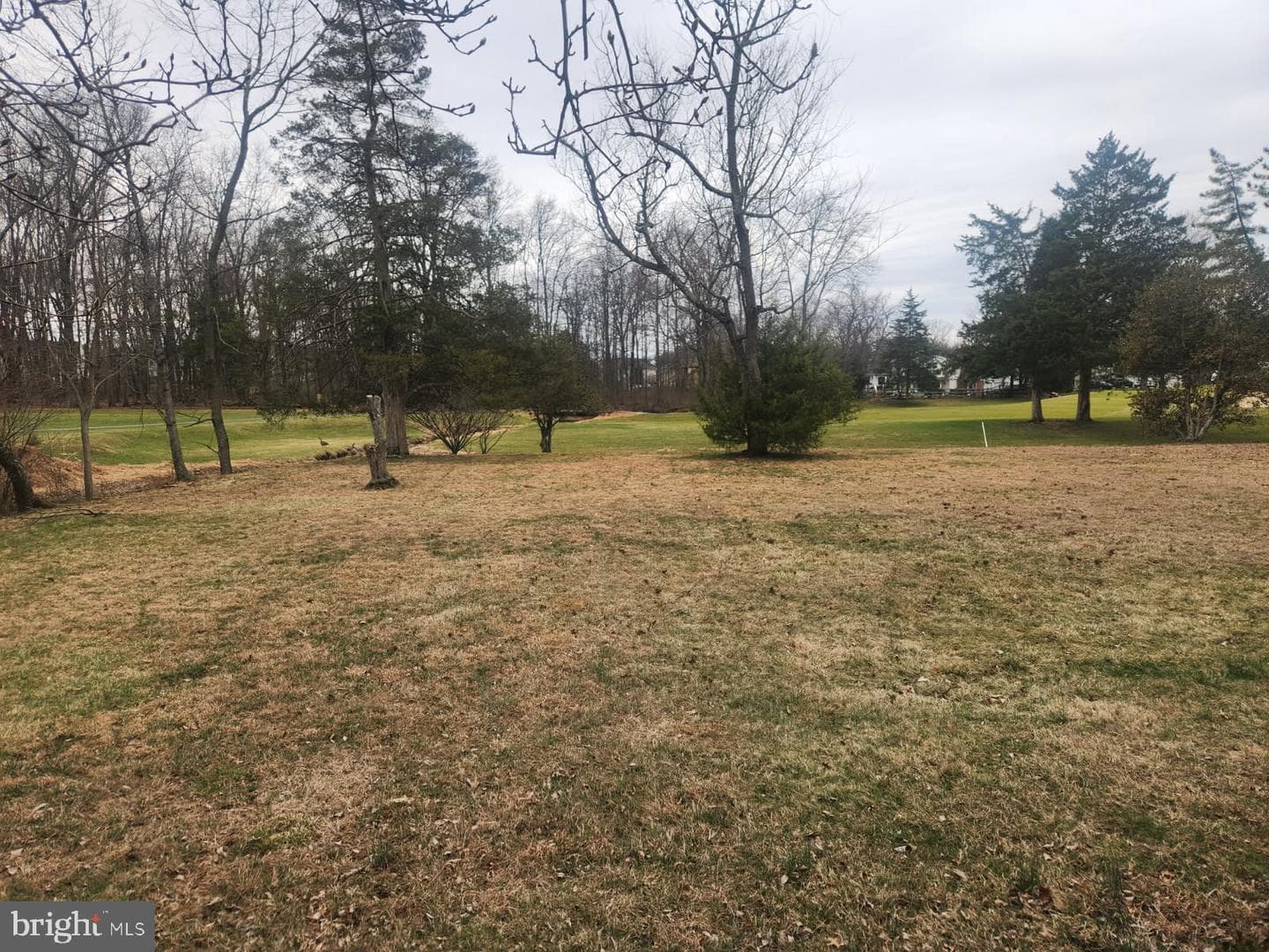 2486 Niblic Place photo 6