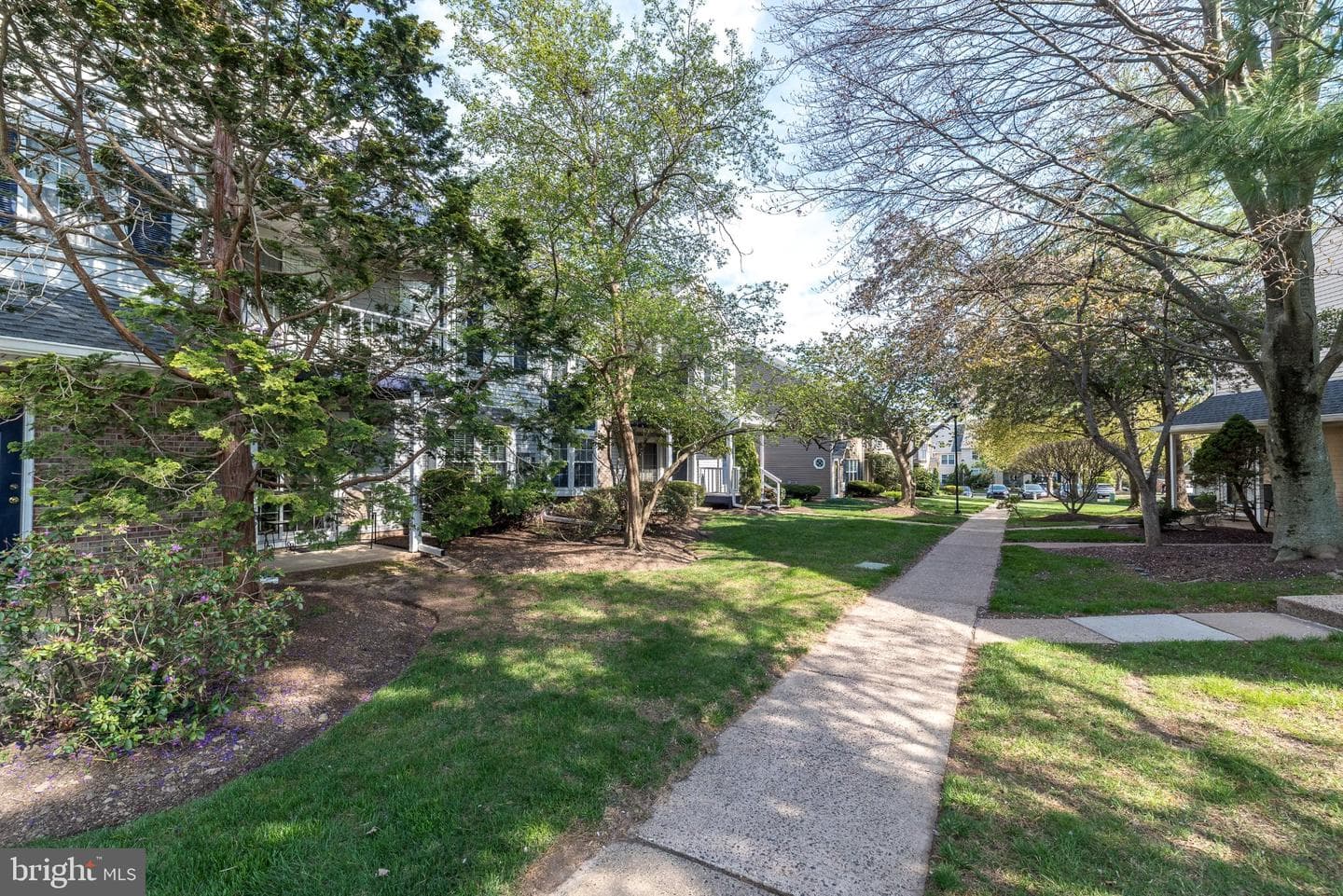 409 Society Place photo 23