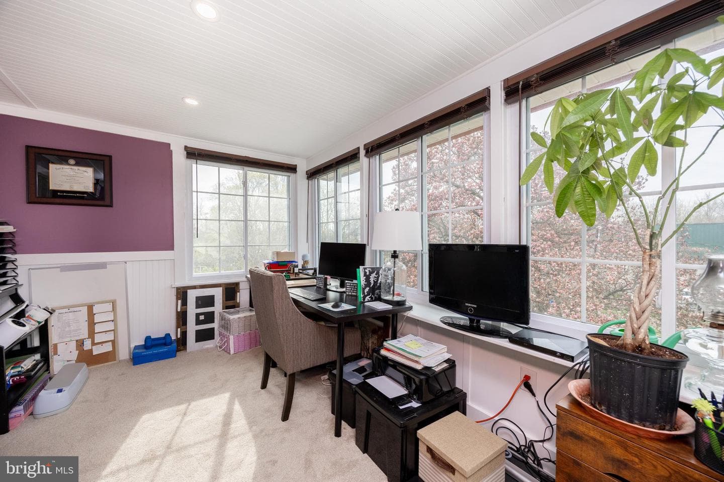 362 Franklin Street photo 22