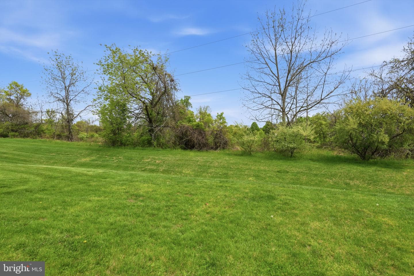 7 Wellington Road photo 36