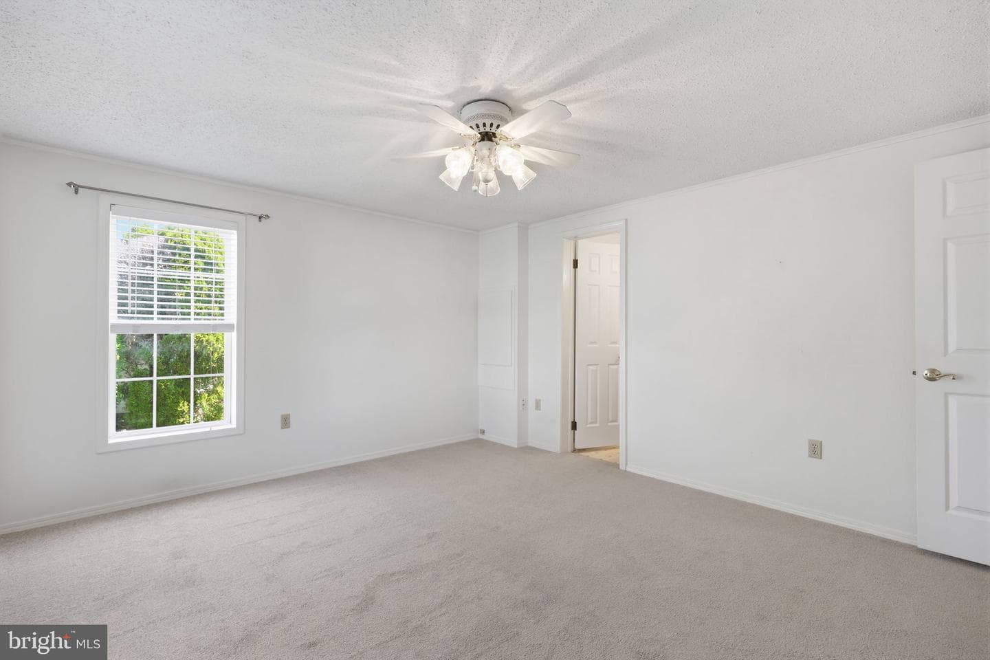 119 Goldenrod Crossing E photo 22