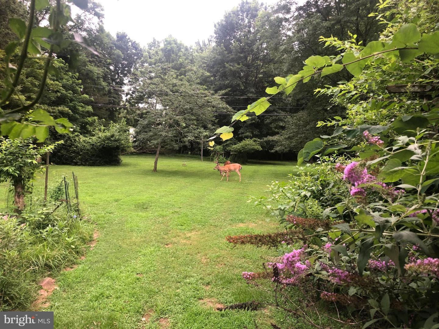 162 Valley Drive photo 54