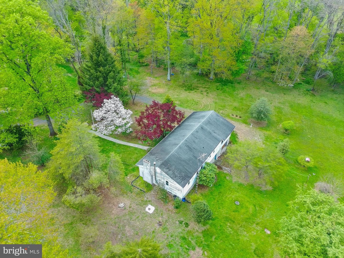 105 Spring Avenue photo 42