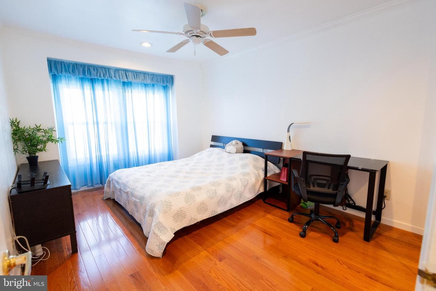 6 Bellwood Drive photo 13