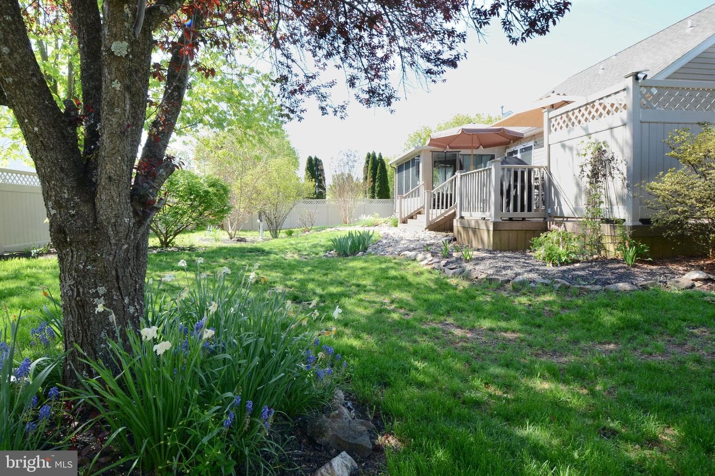 1401 Beverly Drive photo 9