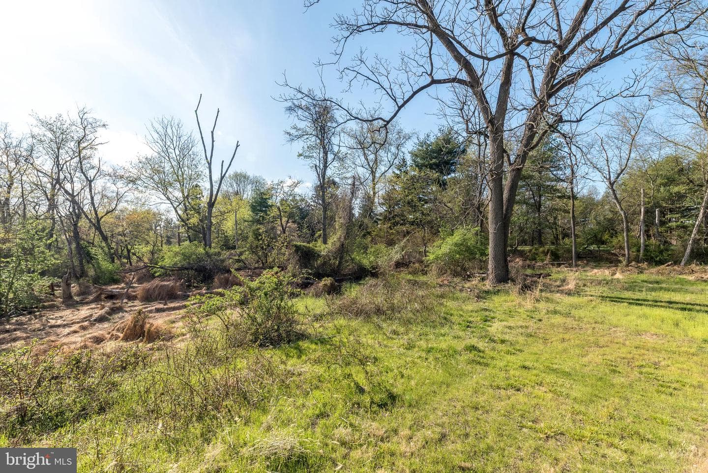 345 Park Avenue photo 49