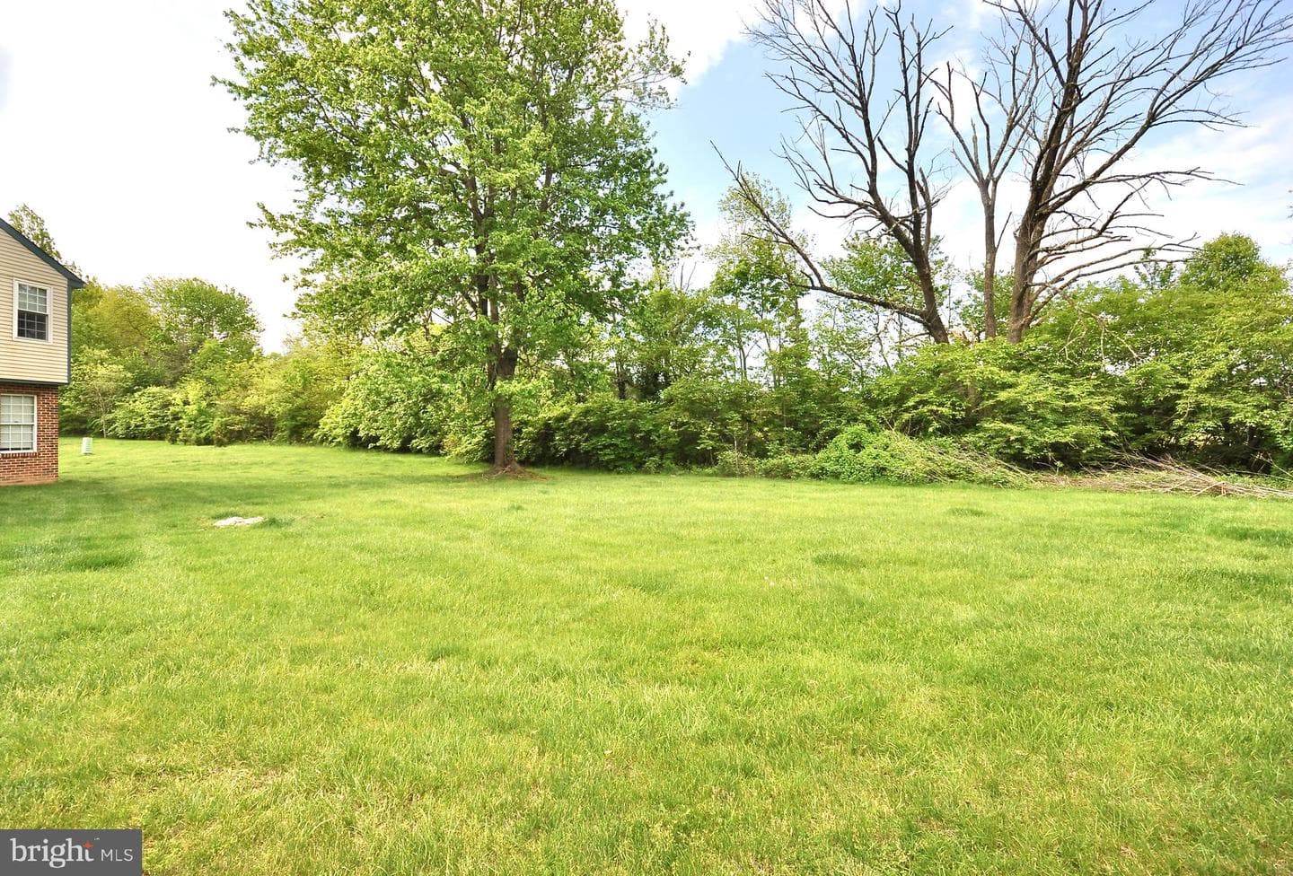 127 Allem Lane photo 30