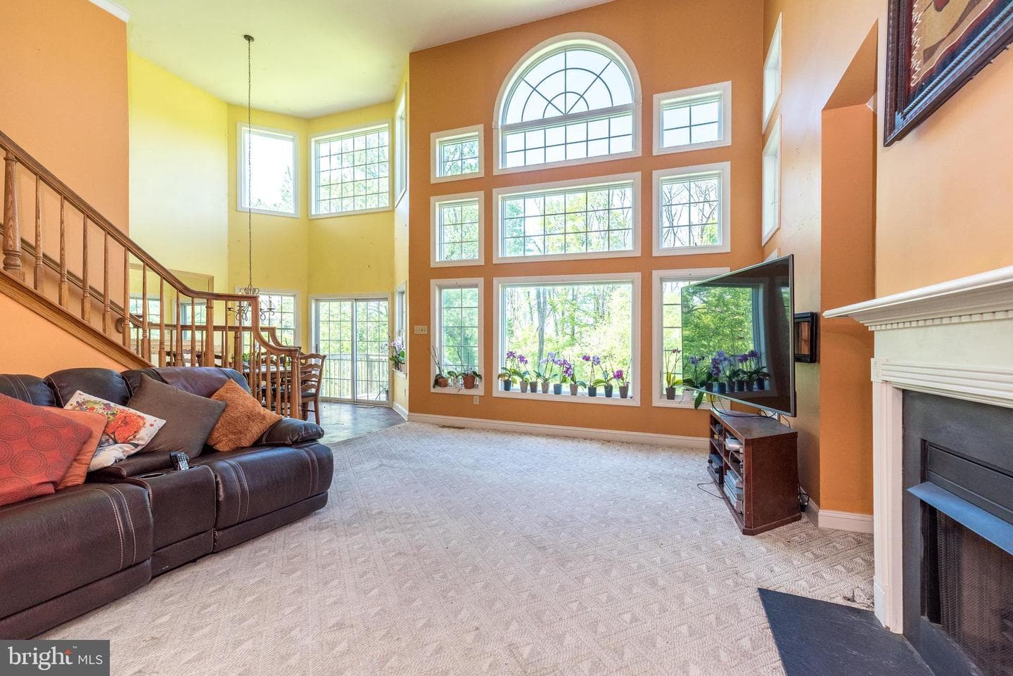 5 Aspen Drive photo 48